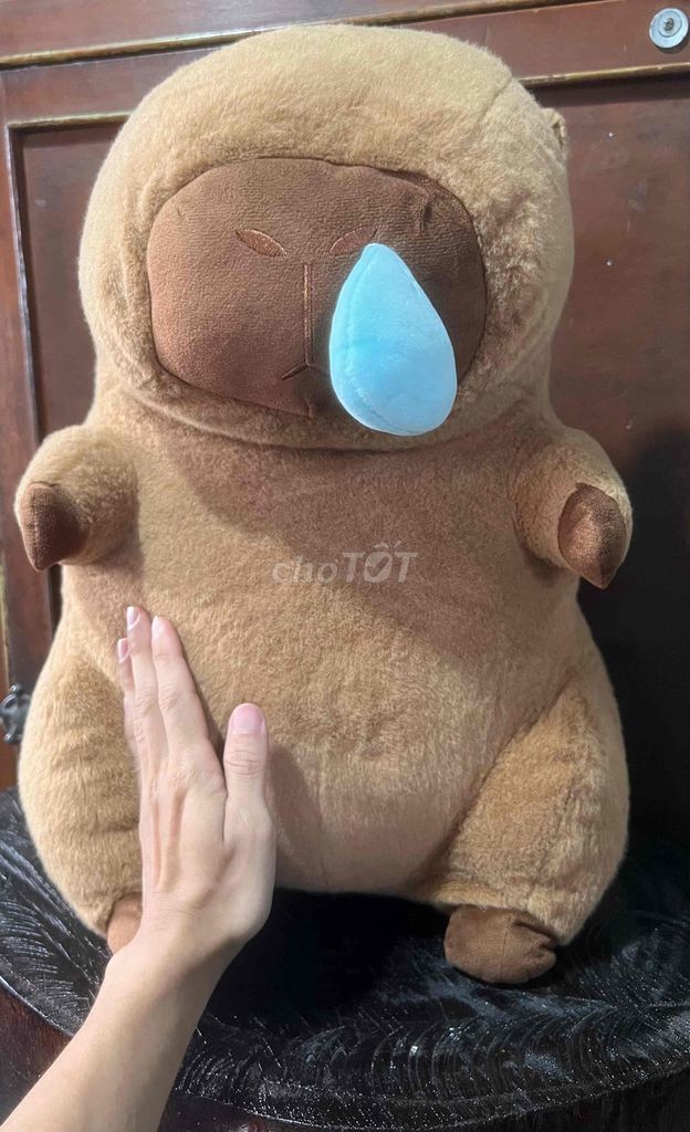 Gấu bông Capybara Nâu 50cm Mới 90%. Mua bán Sở thích khác tại Thành phố Châu Đốc An Giang được đăng bởi Lê Bình Cầm Đồ 2 hình 1