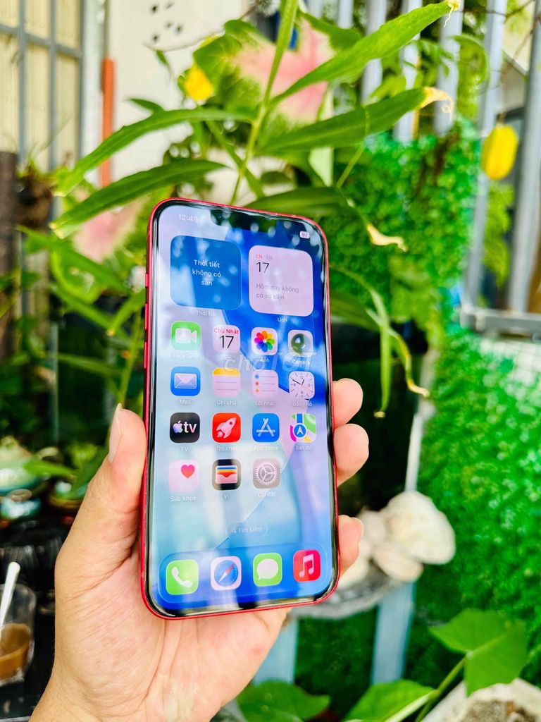 Apple iPhone 13 zin nòi đẹp nét giá rẻ ạ. Mua bán Điện thoại tại Thành phố Nha Trang Khánh Hòa được đăng bởi Quý Pipoy hình 1