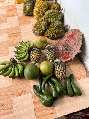 Bán mảnh vườn cao su, sầu riêng 1,56 ha gần UBND xã An Khương cũ