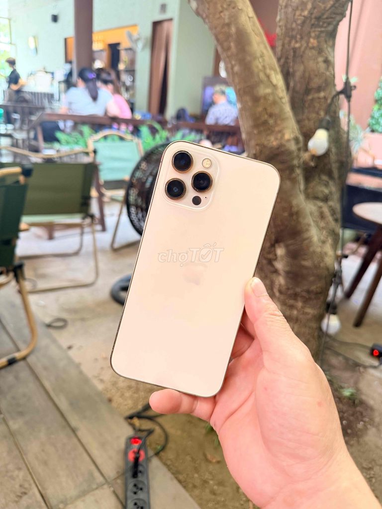 iPhone 12 Pro Max 256GB Vàng pin 88 có giao lưu. Mua bán Điện thoại tại Thành phố Huế Thừa Thiên Huế được đăng bởi Vsmart Thu Mua Điện Thoại Laptop  hình 1