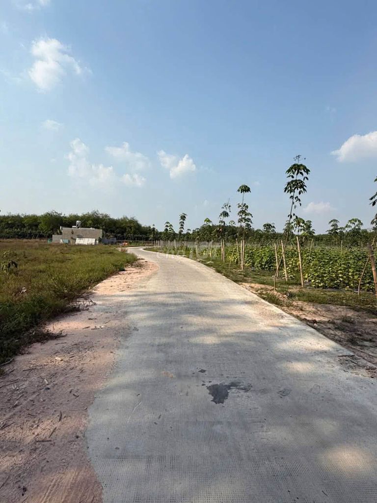 Bán đất 2500m2 Chánh Phú Hoà, Bến Cát, Bình Dương