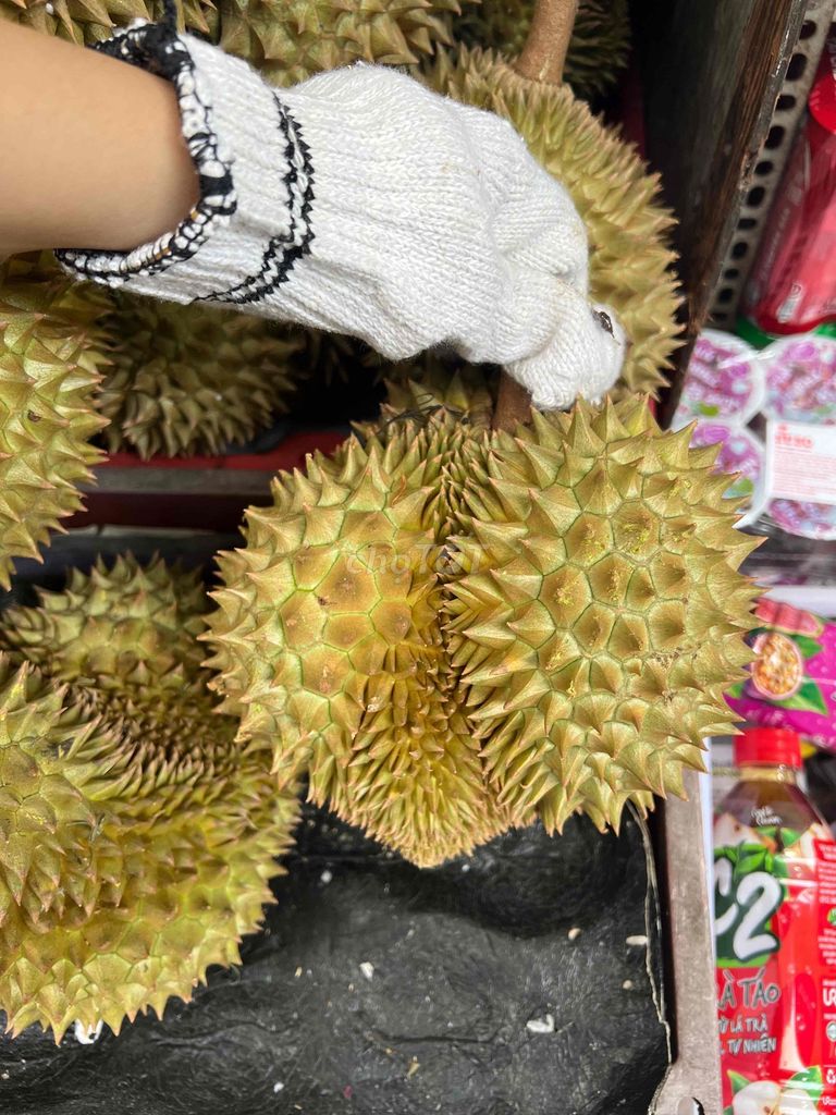 Sầu riêng Thái vườn nhà. Mua bán Đồ ăn, thực phẩm và các loại khác tại Quận 4 Tp Hồ Chí Minh được đăng bởi Thoa Truong hình 1