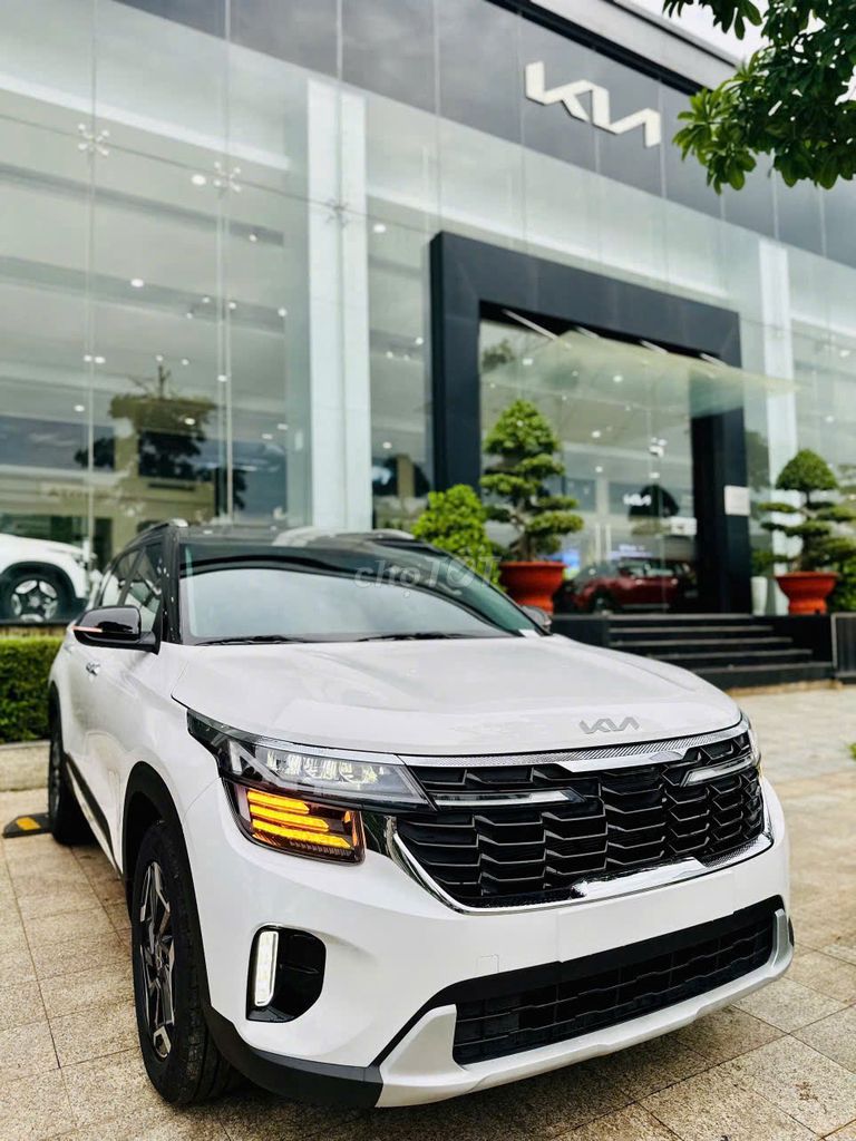 Ảnh số 4