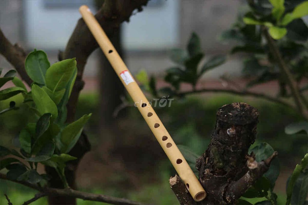 Sáo trúc Bùi Gia A4 VS2. Mua bán Nhạc cụ tại Quận Ngũ Hành Sơn Đà Nẵng được đăng bởi Tú Nguyễn hình 1