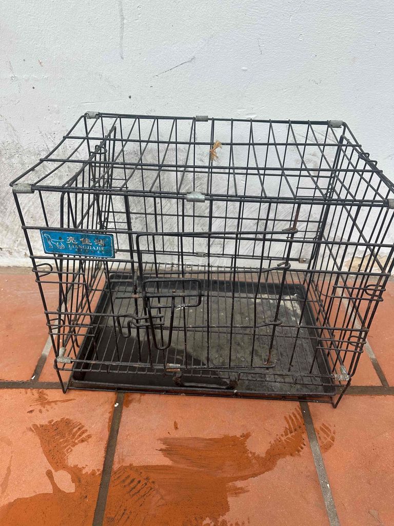 Lồng vận chuyển chó mèo Size M hàng mới. Mua bán Phụ kiện, Thức ăn, Dịch vụ tại Quận Cầu Giấy Hà Nội được đăng bởi KIM DUNG LƯƠNG hình 1