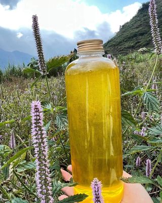 MẬT ONG HOA BẠC HÀ NGUYÊN CHẤT 250k/lit. Mua bán Đồ ăn, thực phẩm và các loại khác tại Quận Thanh Khê Đà Nẵng được đăng bởi HANG BD