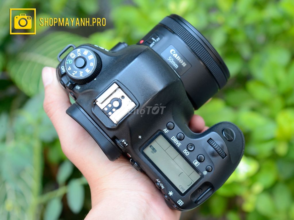 Canon 6D + 50STM - Fullframe quốc dân nhà Canon.