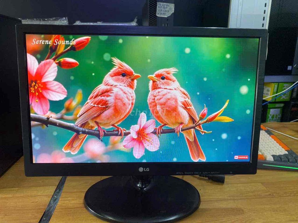 CHIẾC MÀN HÌNH 19IN LG LED BAO NÉT CHẤT LƯỢNG. Mua bán Phụ kiện (Màn hình, Chuột...) tại Quận Phú Nhuận Tp Hồ Chí Minh được đăng bởi ngọc trang hình 5