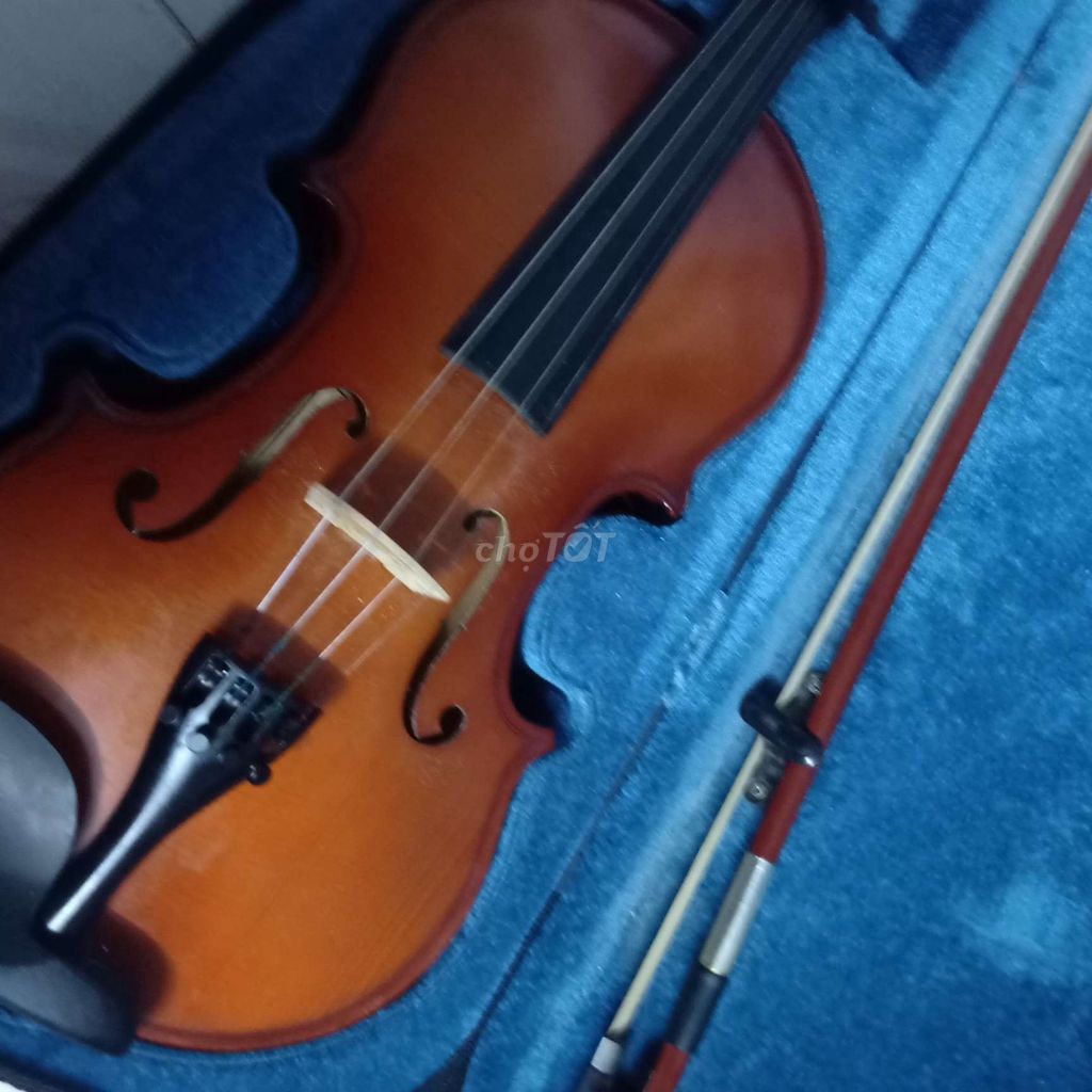 Violin đã qua sử dụng