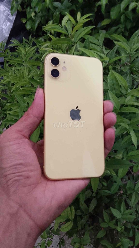 Apple iPhone 11 64GB Vàng. Mua bán Điện thoại tại Huyện Vũng Liêm Vĩnh Long được đăng bởi Phong  hình 1