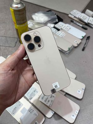 16pro 256 Gold LL quốc tế sạc 1L bh 4/26. Mua bán Điện thoại tại Quận 10 Tp Hồ Chí Minh được đăng bởi MT Mobile 