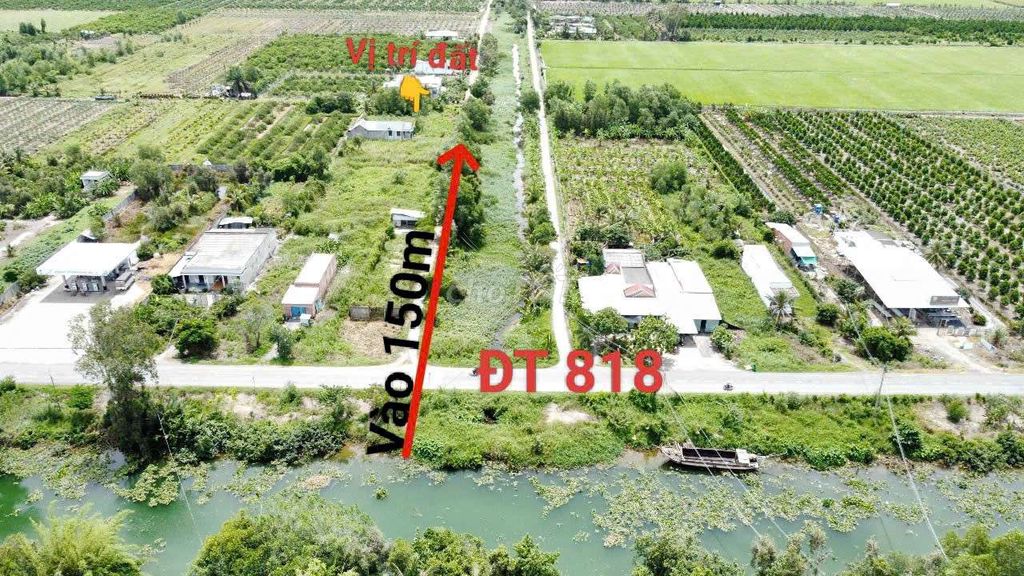 1000m2 thổ cư Thủ Thừa LA- SHCC- Đầu tư lâu dài hoặc xây nhà vườn. Mua bán đất tại Huyện Thủ Thừa Long An được đăng bởi TRẦN NGỌC TỰU hình 1