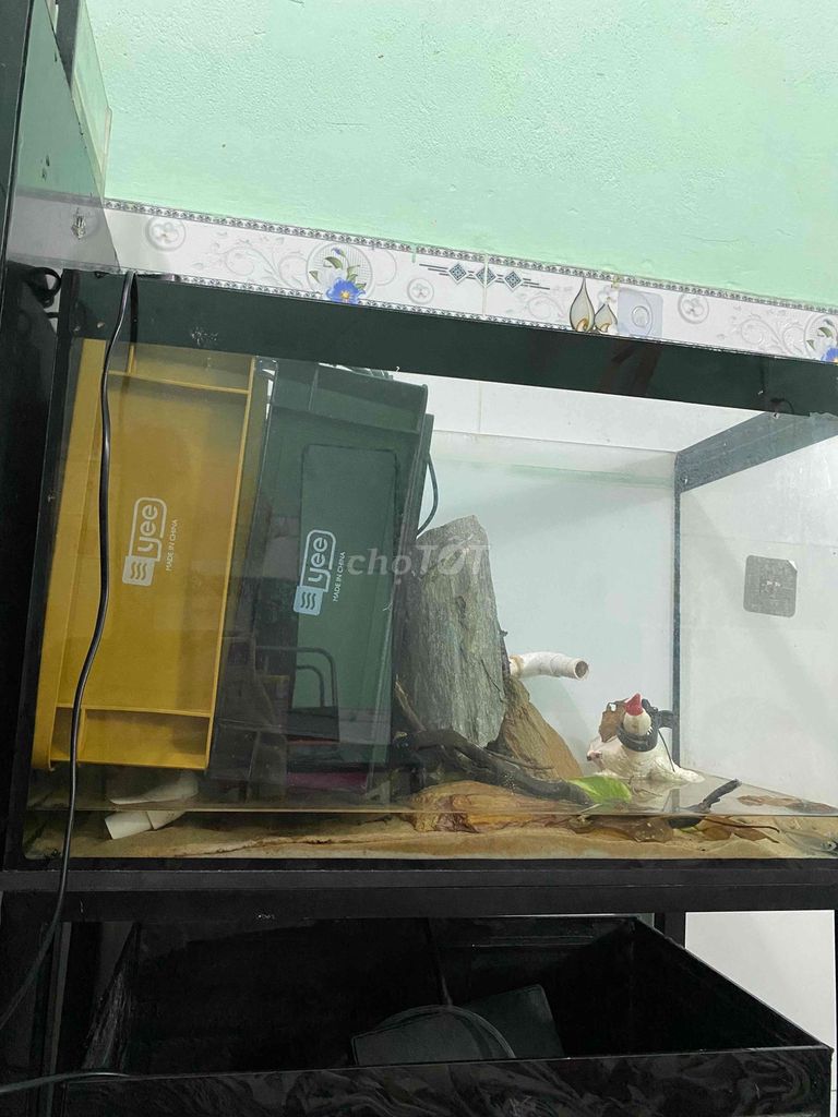 Hồ cá cảnh Kính 50x30cm Trong suốt. Mua bán Phụ kiện, Thức ăn, Dịch vụ tại Thành phố Thuận An Bình Dương được đăng bởi 1410Nhim hình 1