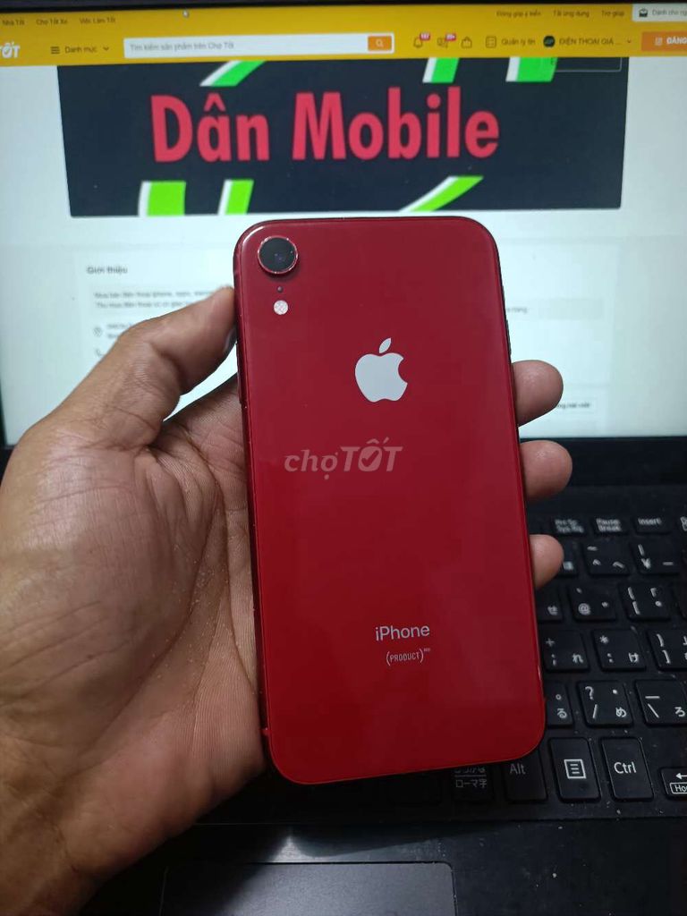 IPHONE XR 64GB MÁY QUỐC TẾ ZIN FULL CN ICLOUD SẠCH. Mua bán Điện thoại tại Quận Bình Thạnh Tp Hồ Chí Minh được đăng bởi Dân Mobile hình 1