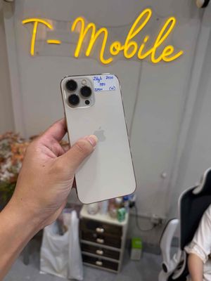 13 Promax 256Gb Quốc Tế zin all gold