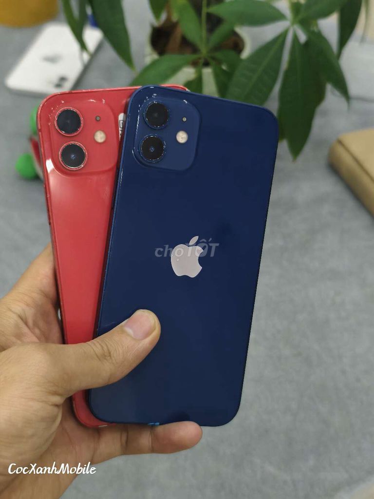 Apple iPhone 12 128GB Zin nguyên áp suất. Mua bán Điện thoại tại Quận Liên Chiểu Đà Nẵng được đăng bởi Minh Hiệp CócXanhMobile hình 1