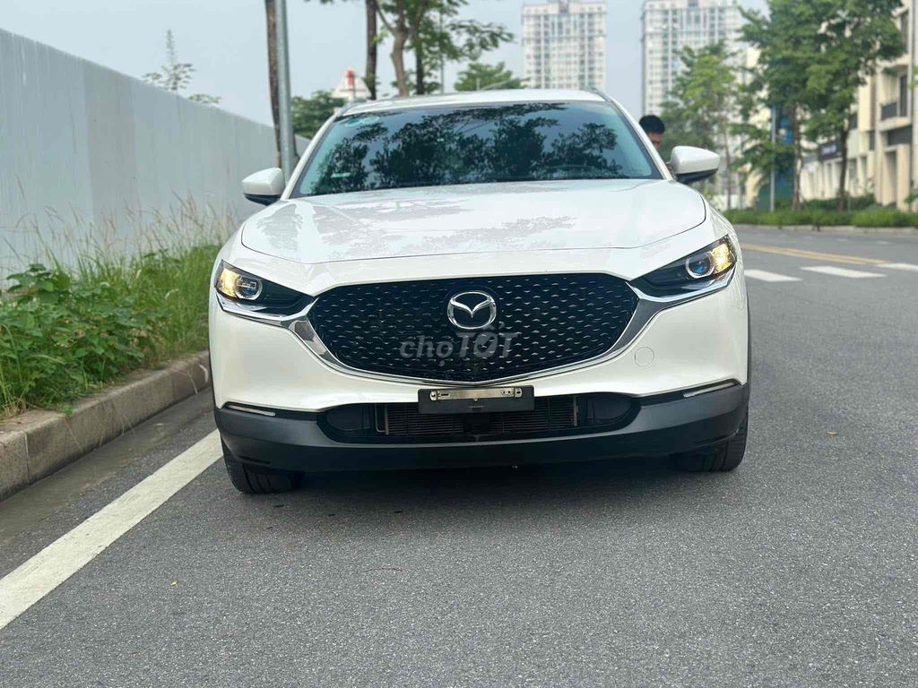 Ảnh số 8
