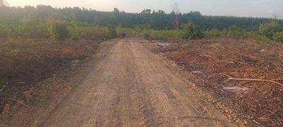 Đất hẻm Lý Thường Kiệt, đối diện nhà thờ Tân Tạo đi vào giá 2 tỷ. Mua bán đất tại Thị xã La Gi Bình Thuận được đăng bởi Nguyễn Hoàng Thông