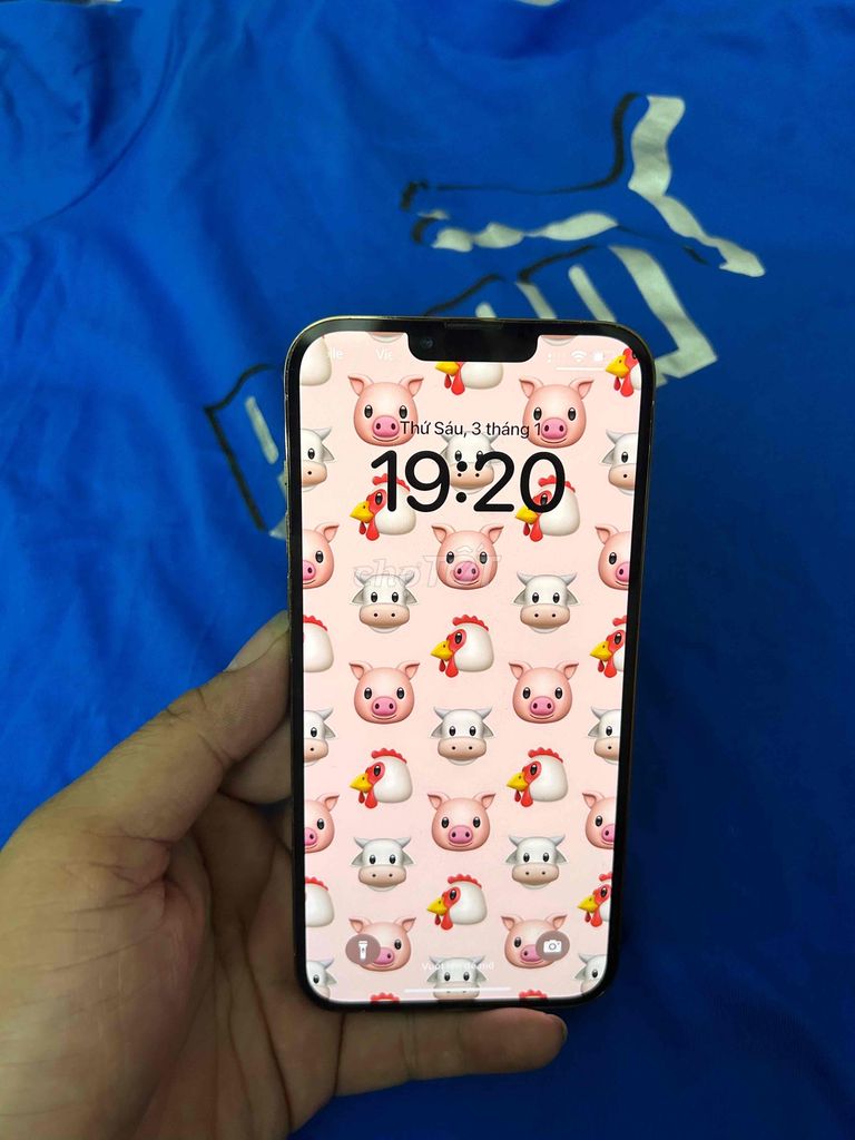 iphone 13 promax QTe 256gb 2sim vật lý face id ok