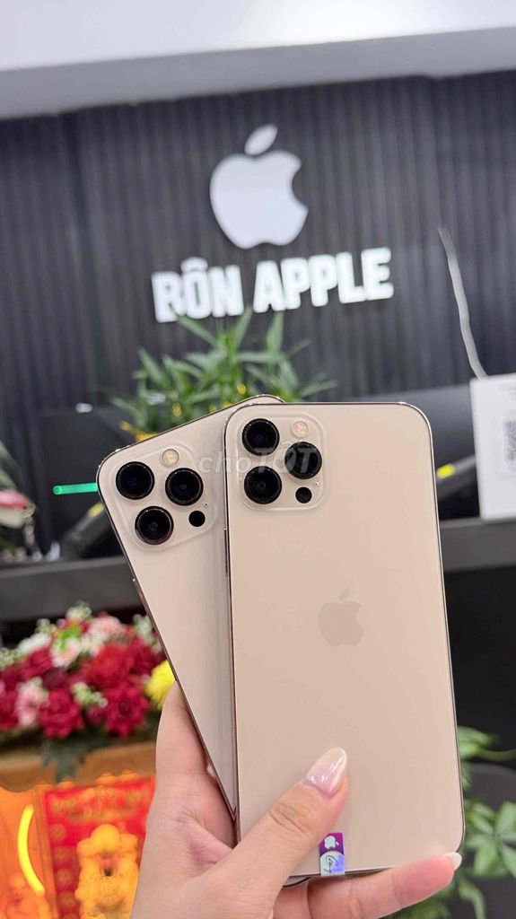 ip14prm gold nguyên bản- full zin -hỗ trợ góp. Mua bán Điện thoại tại Quận Thanh Khê Đà Nẵng được đăng bởi BÔN APPLE 19 Bàu Hạc 3 hình 1