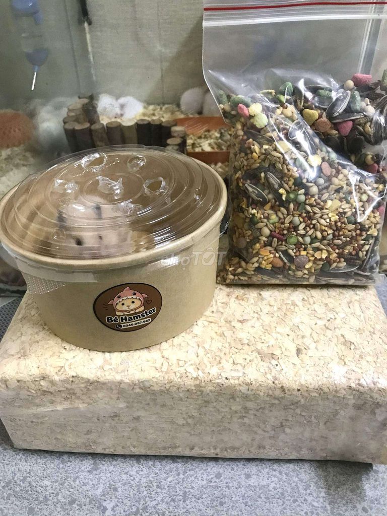 combo 3 món Hamster 109k. Mua bán Thú cưng khác tại Quận Bình Tân Tp Hồ Chí Minh được đăng bởi Ở trọ bày đặt bán chụtt hình 1