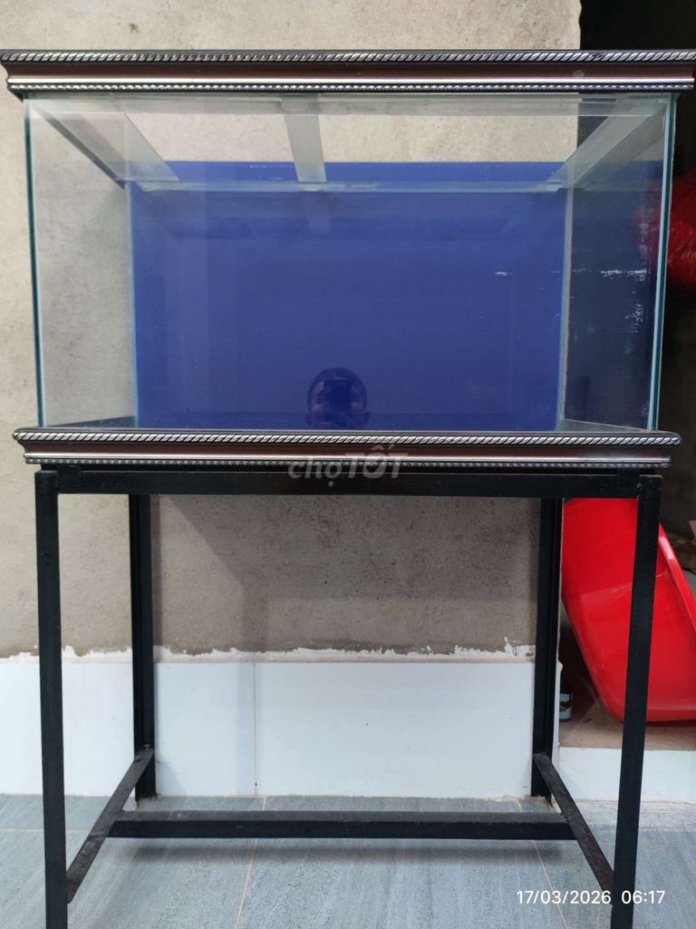 Hồ cá Kính 80x60x40 cm. Mua bán Phụ kiện, Thức ăn, Dịch vụ tại Huyện Trảng Bom Đồng Nai được đăng bởi SKY hình 1
