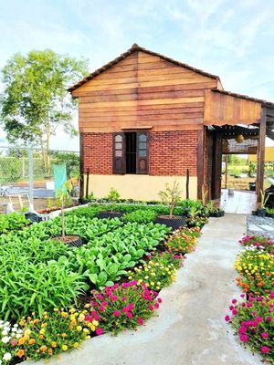 nhà vườn 1000m² đất view kênh cực đẹp chỉ 1.4 tỷ