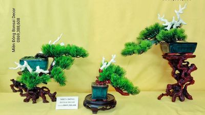 Bộ 3 cây Bonsai mini decor nghệ thuật 003