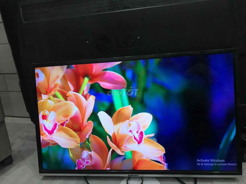 bán led ASANZO 32inch ES32T800