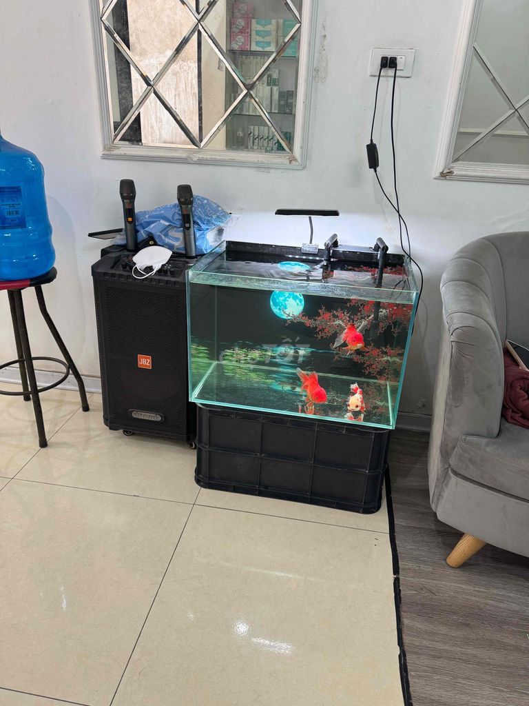 Bể cá đẹp. Mua bán Phụ kiện, Thức ăn, Dịch vụ tại Quận Hà Đông Hà Nội được đăng bởi Đình Tưởng hình 1