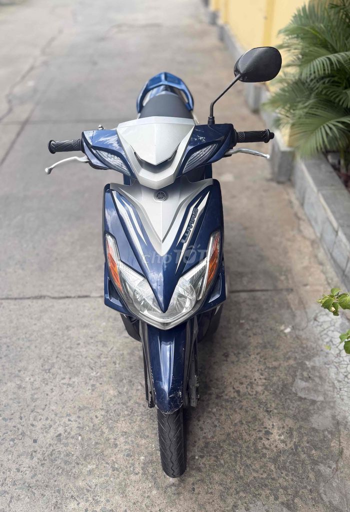 Yamaha Luvias является владельцем морской гладководной машины Vinh Long