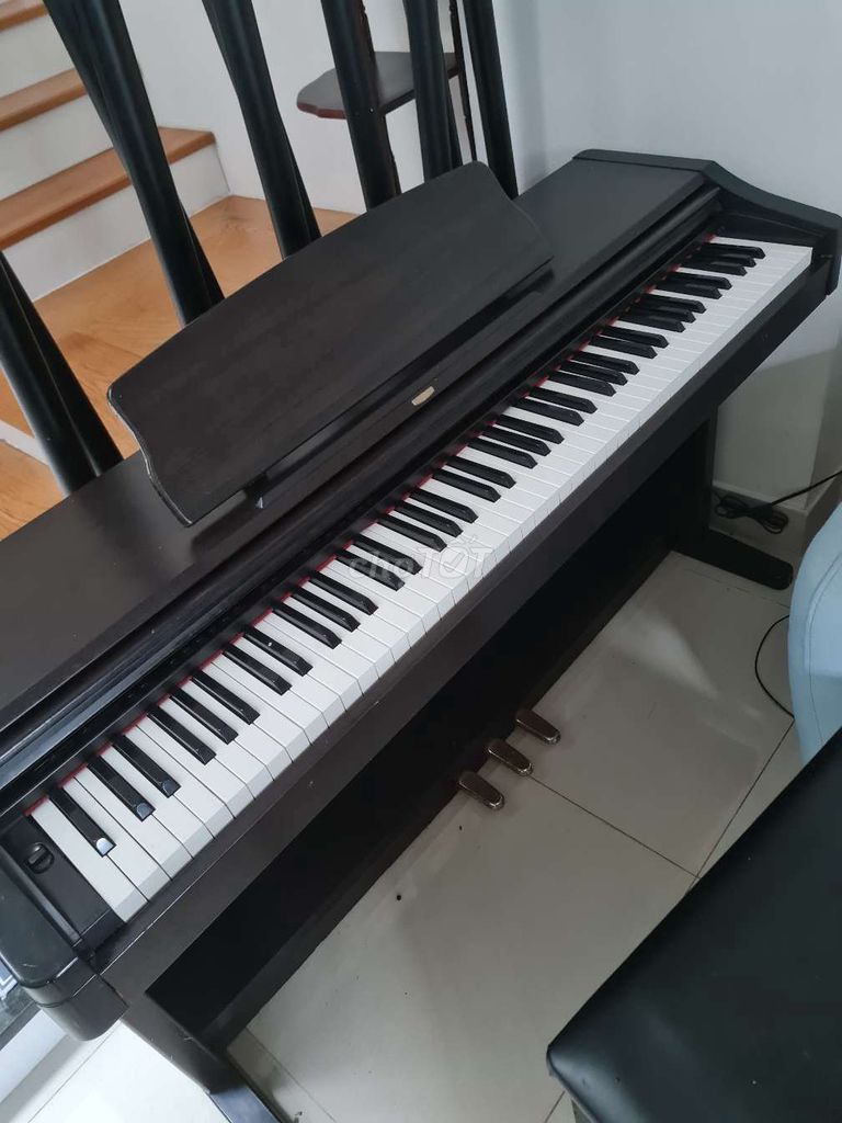 Đàn piano điện KORG C-303