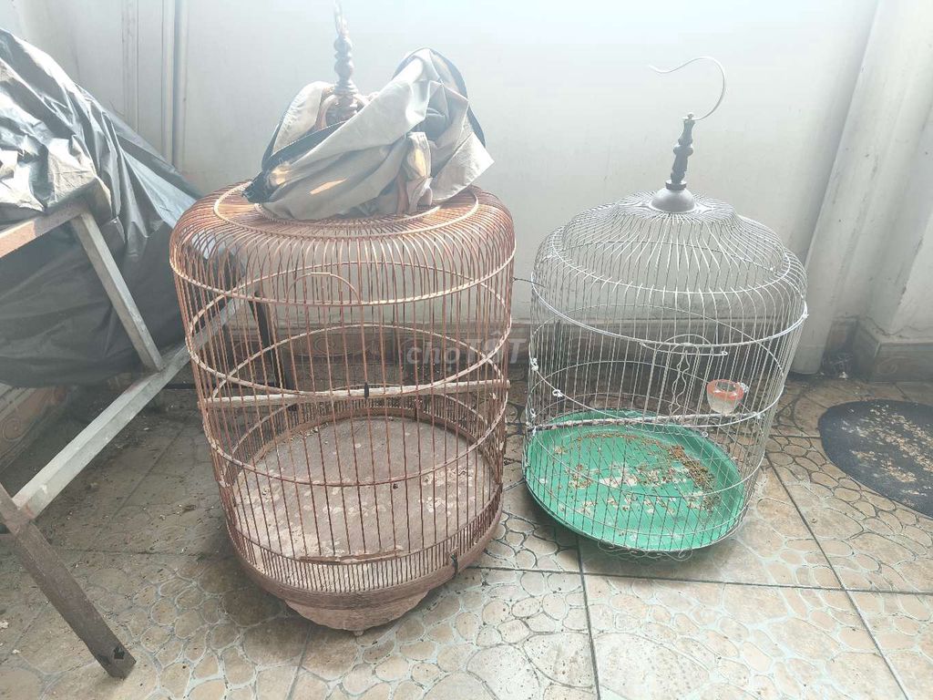 Cần tìm choè tầm 3-4 mùa đuoi tầm 18-19 tly. Mua bán Chim tại Quận 12 Tp Hồ Chí Minh được đăng bởi Chung hình 1