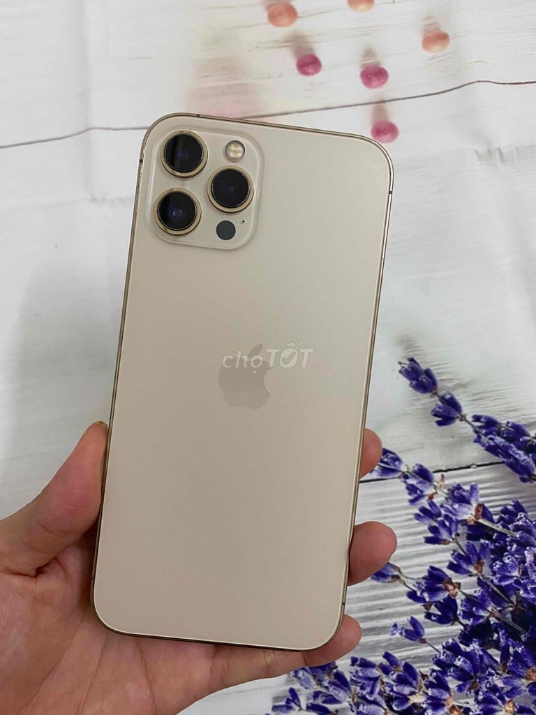 Apple iPhone 12 Pro Max 128GB Quốc tế màu gold. Mua bán Điện thoại tại Thành phố Huế Thừa Thiên Huế được đăng bởi Chuyên Hàng Công Ty hình 1