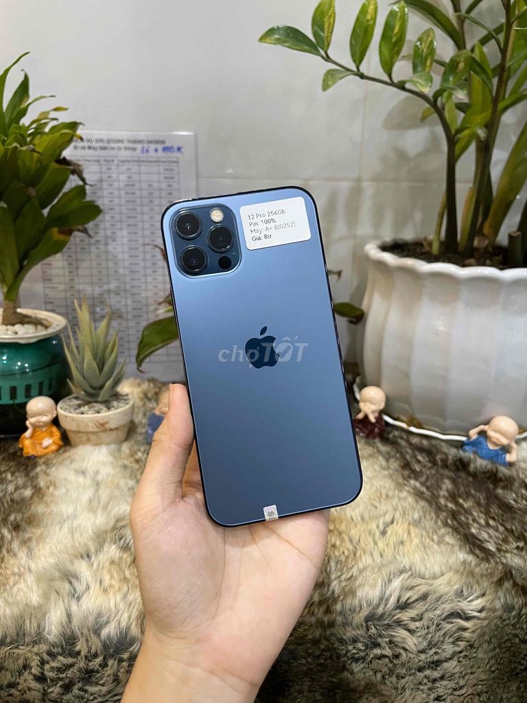 Apple iPhone 12 Pro 256GB Xanh - Đẹp 99%🔥. Mua bán Điện thoại tại Huyện Hóc Môn Tp Hồ Chí Minh được đăng bởi Luân Hoài hình 1