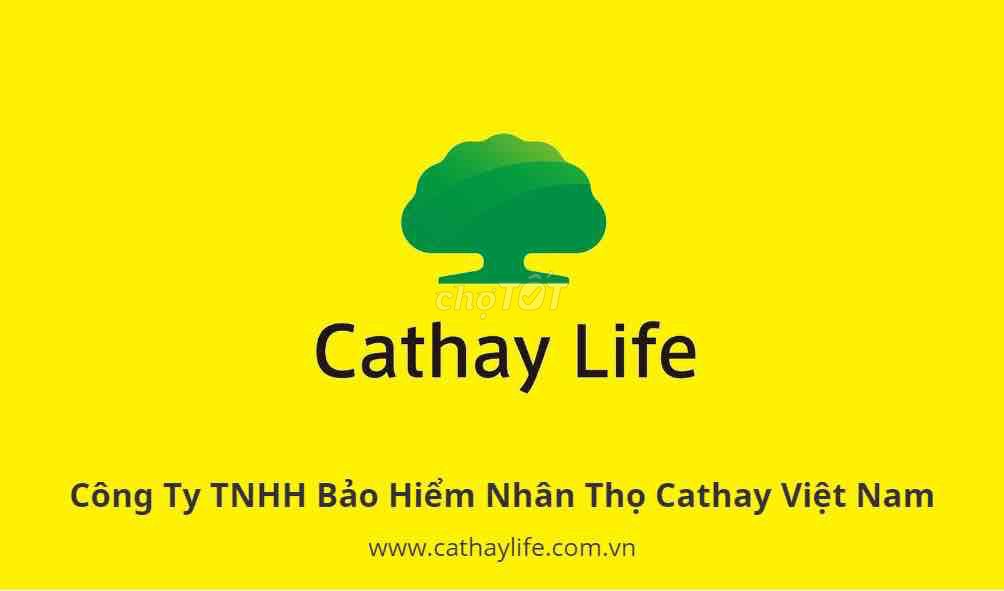 Tuyển Nhân Viên Văn Phòng