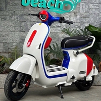XE ĐIỆN GIÁ KHO