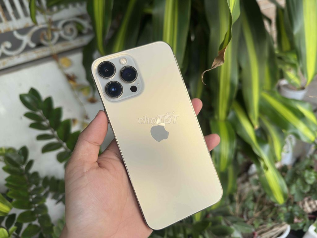 Apple iPhone 13 Pro Max 128GB Vàng. Mua bán Điện thoại tại Quận Ninh Kiều Cần Thơ được đăng bởi ĐIỆN THOẠI GIÁ TỐT UY TÍN  hình 1