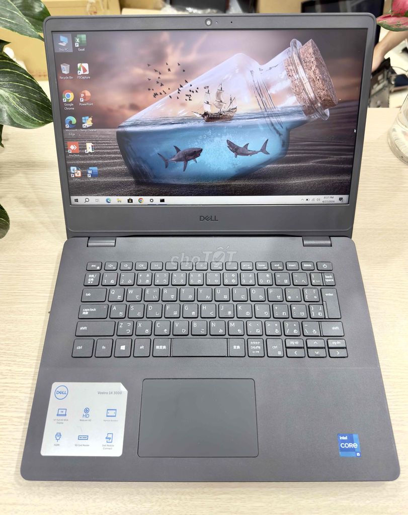Dell Vostro 3400 i5 Gen11 Ram8gb SSD 256GB pin new. Mua bán Laptop tại Quận Hai Bà Trưng Hà Nội được đăng bởi Akiba shop hình 1