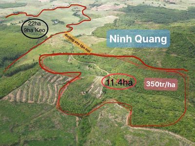 11.4Ha đất Rsx chỉ 350tr/ha - Ninh Quang - NH