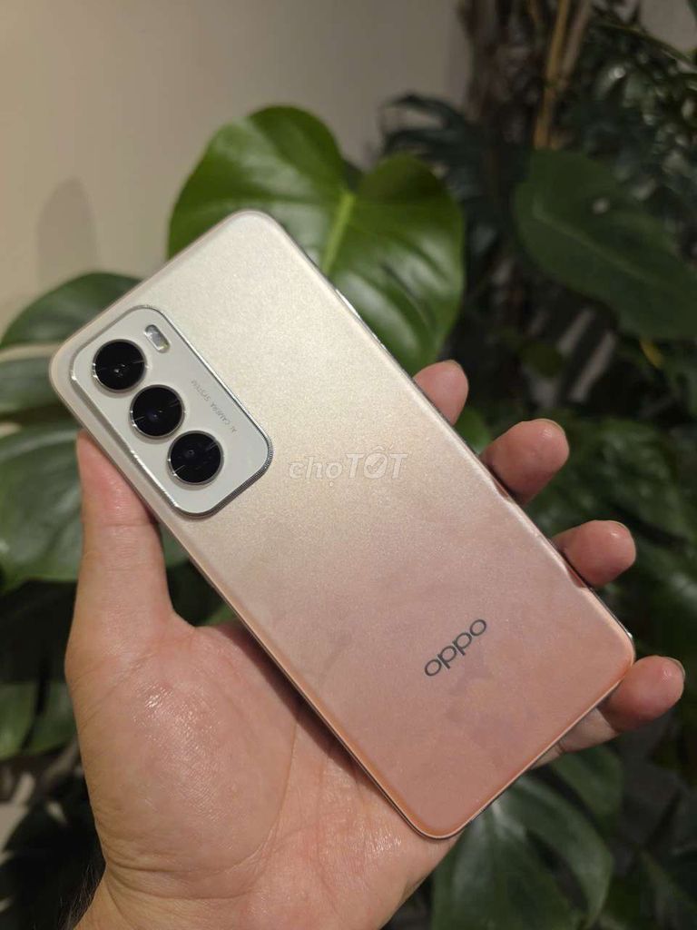 Oppo Reno 12 12GB/256GB Vàng hồng. Mua bán Điện thoại tại Thành phố Thuận An Bình Dương được đăng bởi Thu Quynh shop hình 1