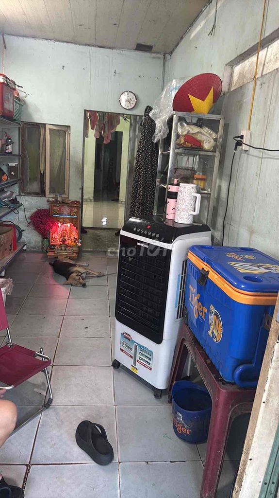 nhà ở và kinh doanh buôn bán