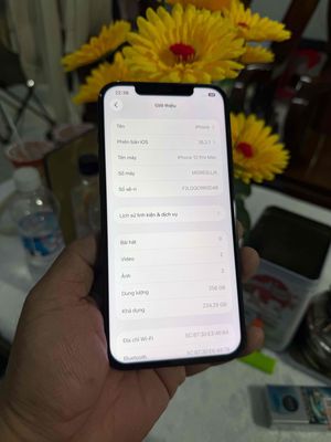 iPhone 12 Pro Max 256G xanh 99% Mỹ