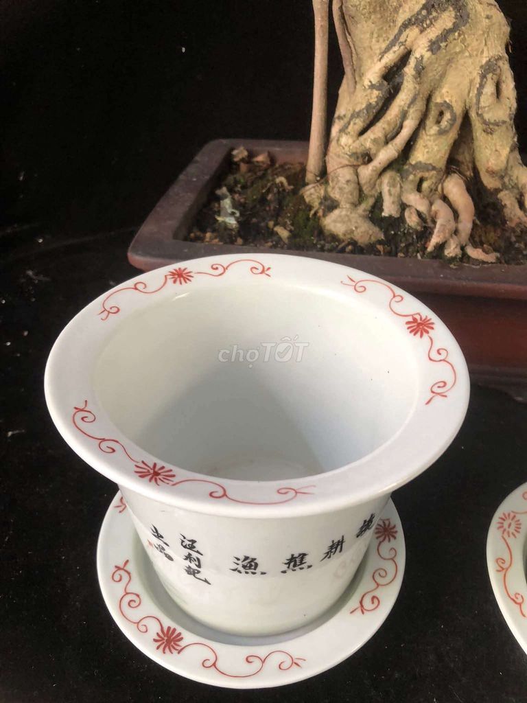 Chậu cảnh Gốm sứ Trung Quốc vẽ tay cặp. Mua bán Cây cảnh, đồ trang trí tại Huyện Gia Lâm Hà Nội được đăng bởi Mr Gia Huy hình 1