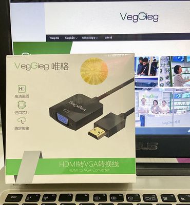 Cáp chuyển đổi HDMI to VGA Veggieg VZ612  HD 1080P