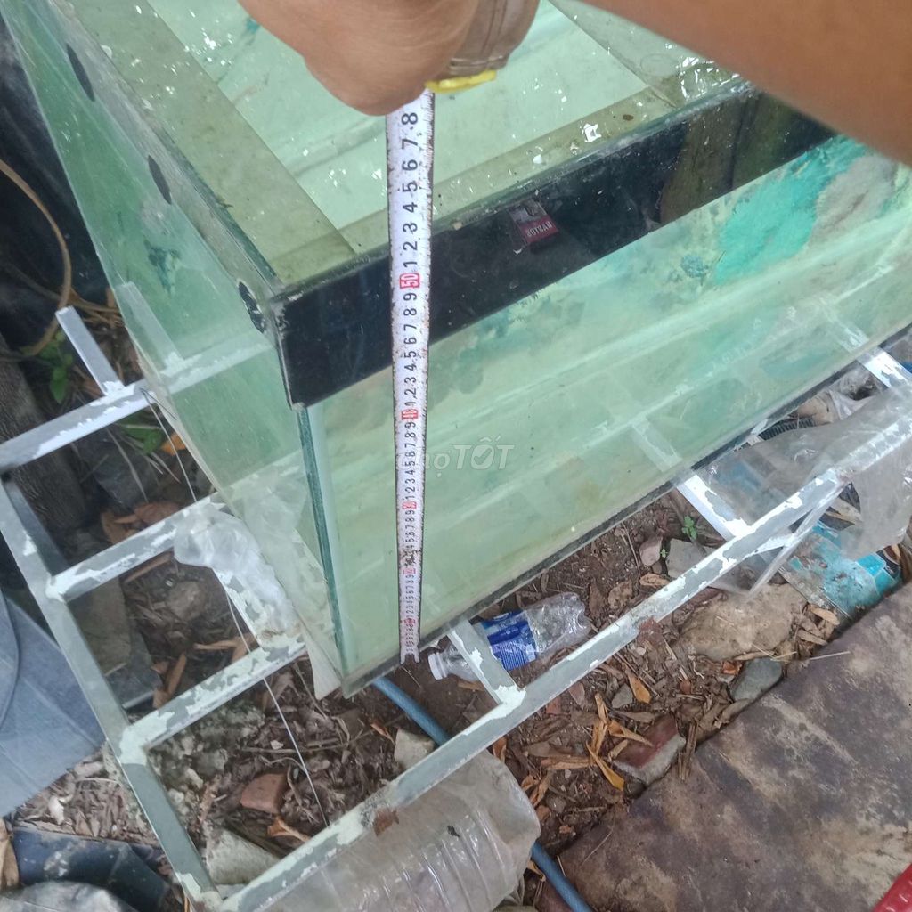 Hồ cá cảnh Kính 100x40x50cm. Mua bán Phụ kiện, Thức ăn, Dịch vụ tại Quận Cẩm Lệ Đà Nẵng được đăng bởi dịch vụ máy xúc mini  hình 1