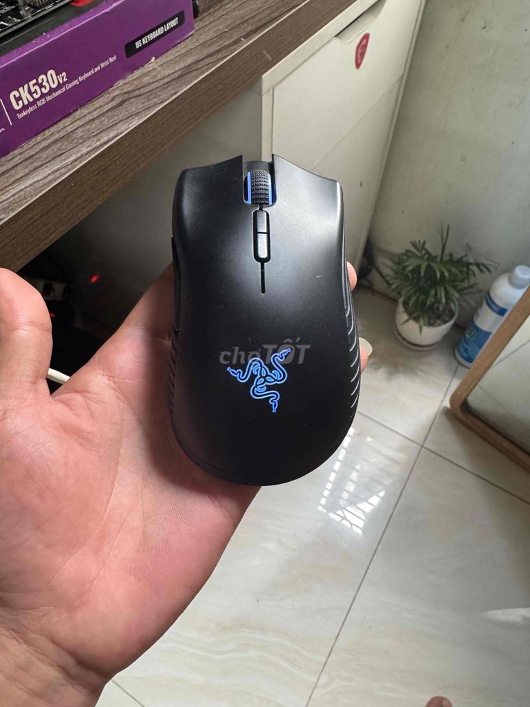 Chuột Razer Mamba Wireless, k dây