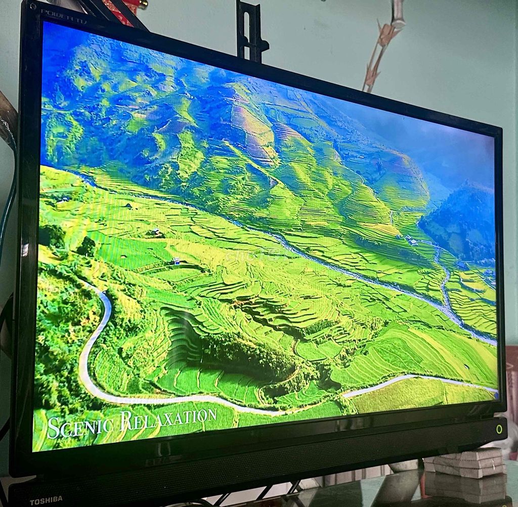 Bán tivi Toshiba 32in đang sử dụng. Mua bán Tivi, Âm thanh tại Thành phố Thủ Đức Tp Hồ Chí Minh được đăng bởi Hoang Ngoc Linh hình 1