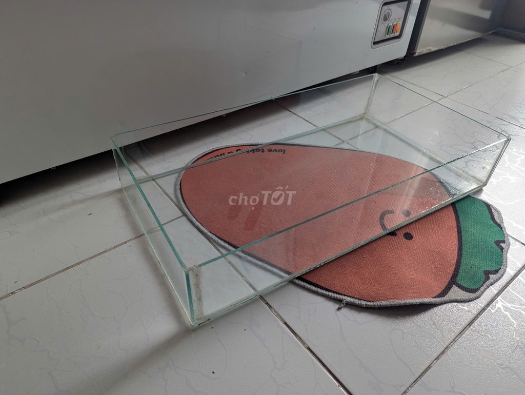 Bể cá thủy sinh 60*33cm, cao 11cm, bể kính hồ cá. Mua bán Phụ kiện, Thức ăn, Dịch vụ tại Quận 12 Tp Hồ Chí Minh được đăng bởi lucas D hình 1