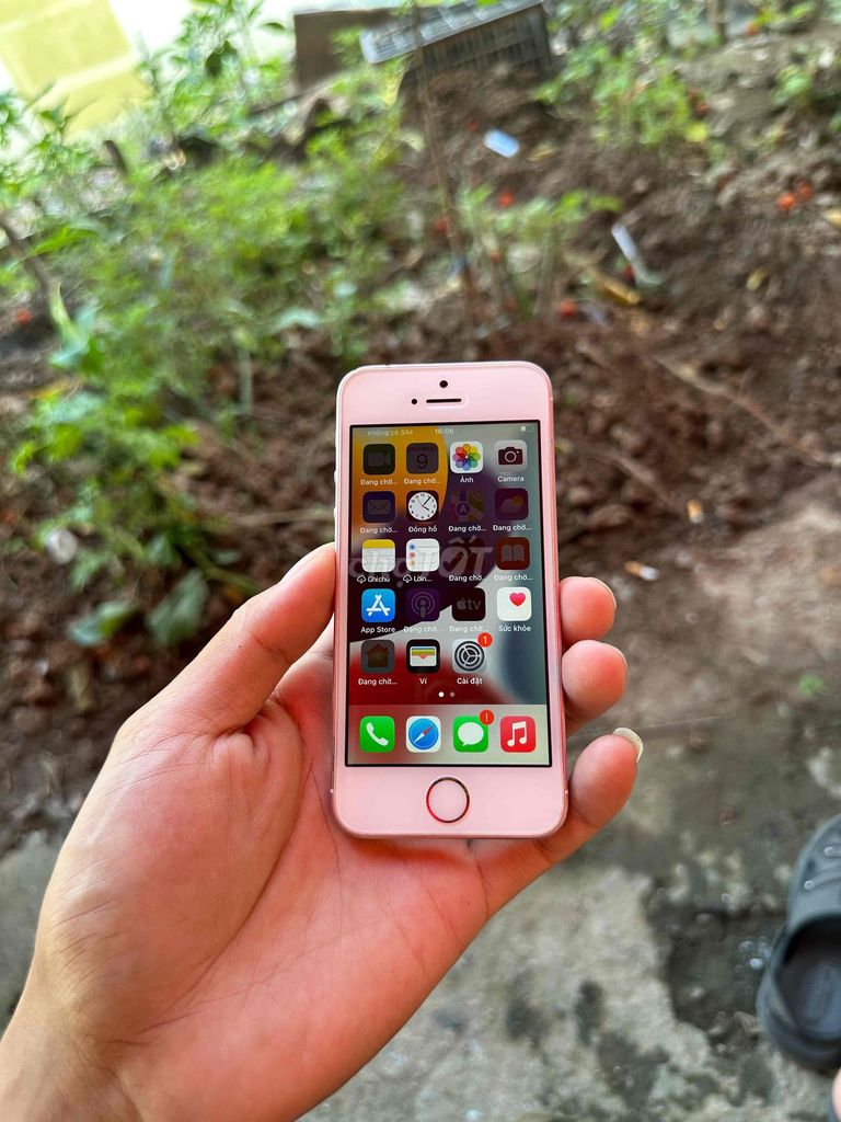 Apple iPhone SE 2016 64GB Hồng Đã sử dụng. Mua bán Điện thoại tại Quận Hà Đông Hà Nội được đăng bởi Hiệp hình 1